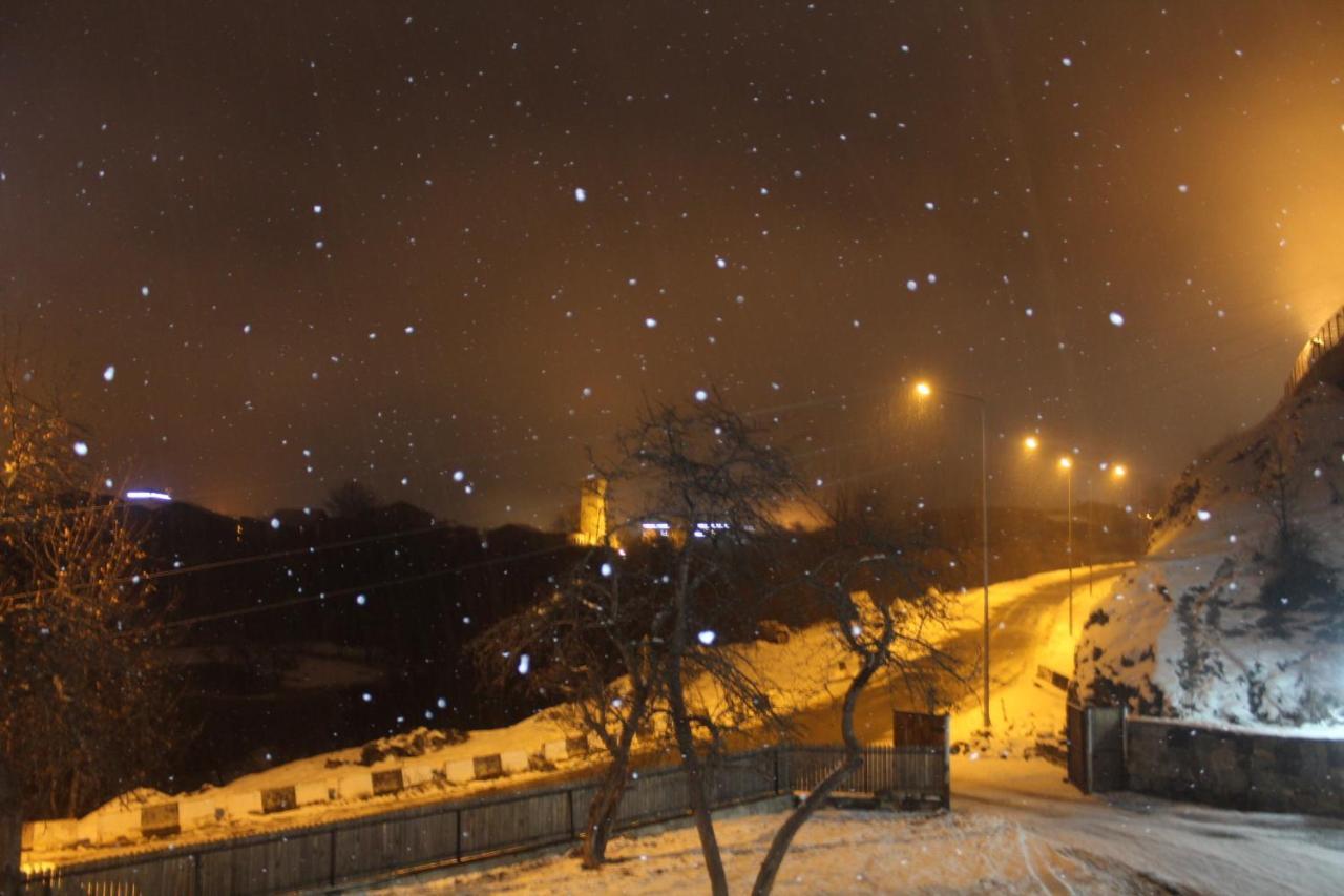 Guesthouse Alpenrose Местия Екстериор снимка